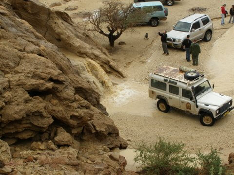 עמוס אבירן טיולי ג'יפים
